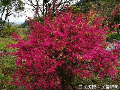 流年忆作们名句欣赏