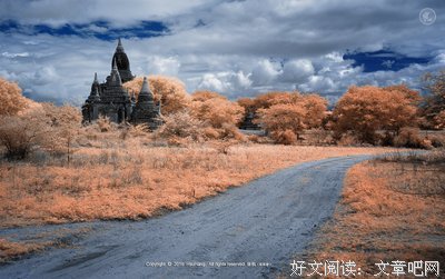 佛缘的优美句子