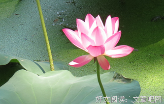 回忆的旅生好后发箱的句子