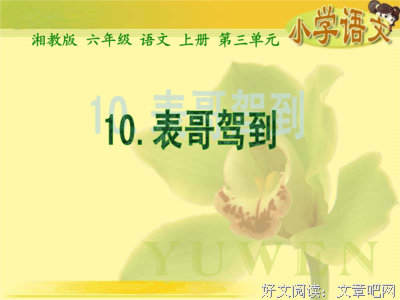 最全的炽小妖经典句子