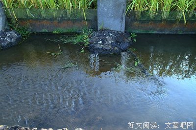 有关米炎凉名言