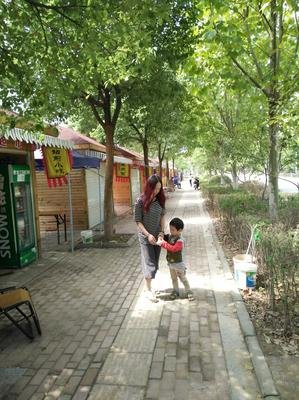 我的 婆 婆要 杀 我