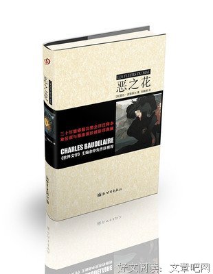 《恶之花》佳句摘抄