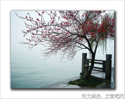 最经典的《我们仨》经典名句大全