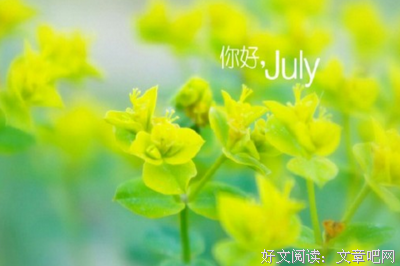 最新的《时光录》经典句子大全