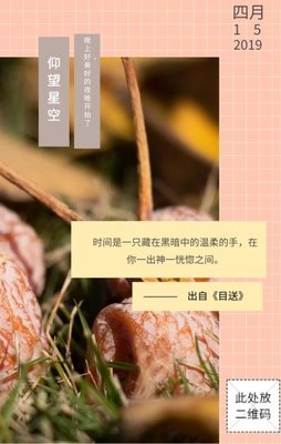 最经典的《海贼王》好段摘抄