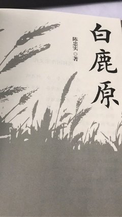 最经典的《白鹿原》好段摘抄