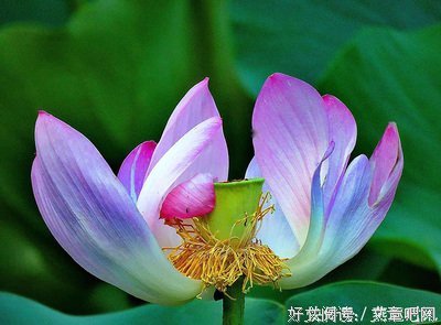 关于哭天抢地名言名句