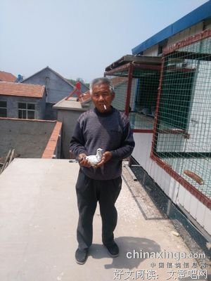 鲁滨的名言_关于鲁滨的名言