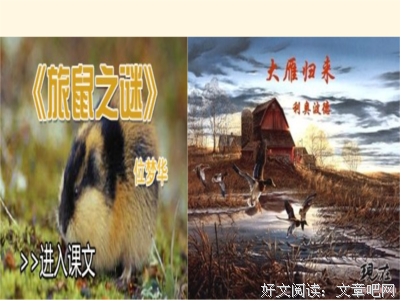 雁过拔毛的句子