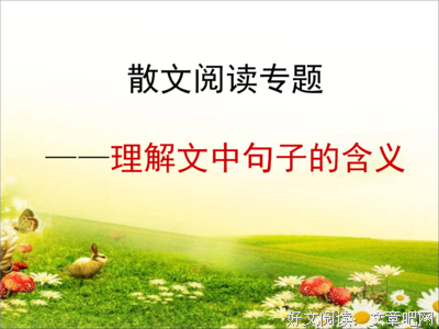 关于何许的语句