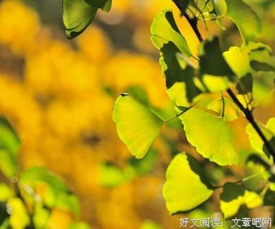 周到的句子