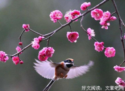 《句句不错》的句子
