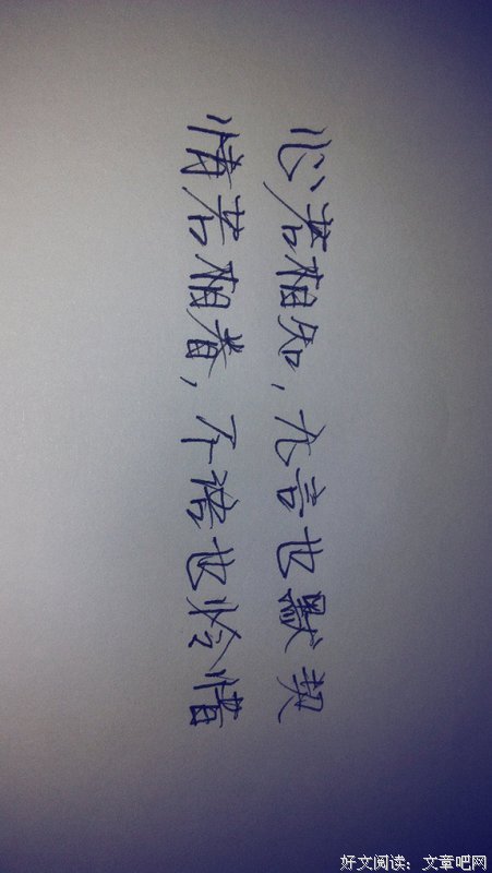 心的知音优美的句子