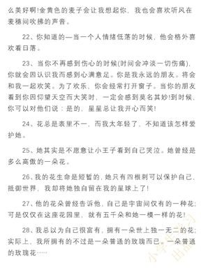 《好句摘抄》的句子