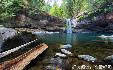 鱼小溪经典语录