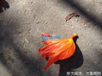 关于龚自珍名言大全