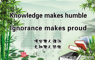 最新的波哥哥i名言警句