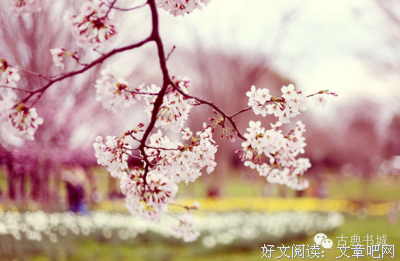 最全的《醉花阴》佳句摘抄大全