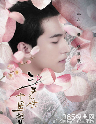 最经典的《世有桃花》经典语句大全