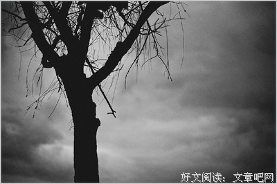 《人间失格》小说书摘大全