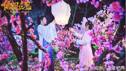 最新的《假凤虚凰》好段摘抄