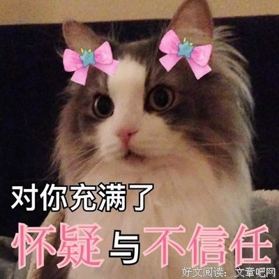 最经典的《嘉莉妹妹》小说句子大全