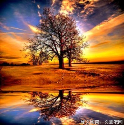 天有不测风云的名句_关于天有不测风云的名句