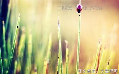 不可一世的名句_关于不可一世的名句