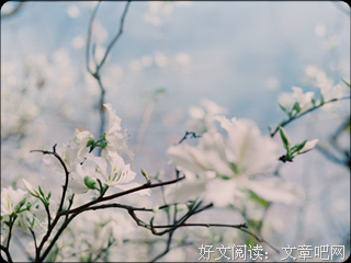 有关倾一池温柔的废那天样的句子