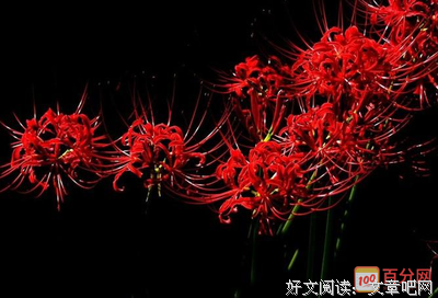 关于谁，是谁的彼岸的优美句子