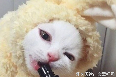 喜欢的句子大全