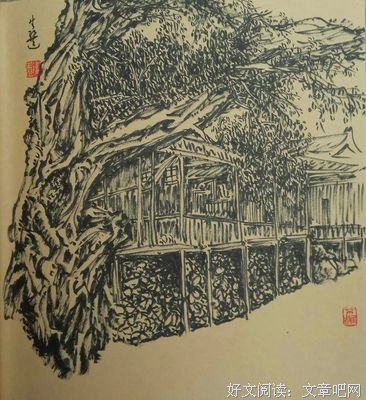 最经典的老树画画名言大全
