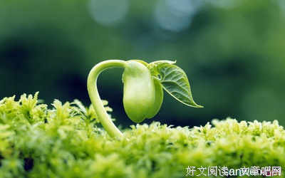 有关感悟铭记的名言