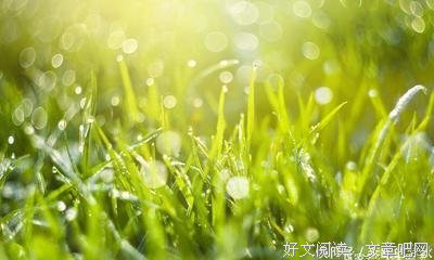 最全的《小窗幽记》经典语录