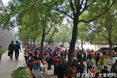 最经典的《岁月神偷》好段摘抄