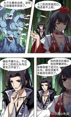 最新的《异世墨莲》小说摘抄