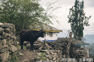 最全的《战武通天》经典句子