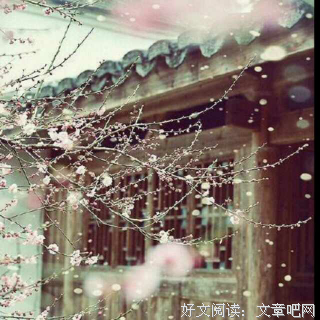 最全的《时光知味》经典的句子