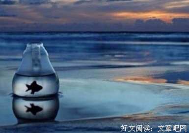 最全的《昨日青空》经典的句子大全