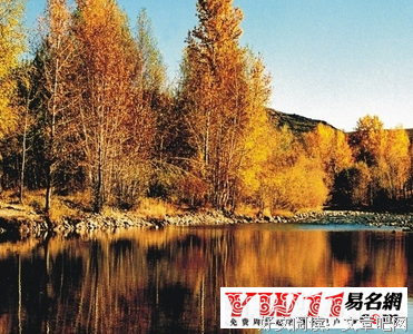 最经典的《极品公子》语录摘抄大全