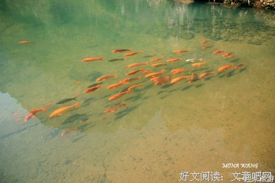 最经典的《爱上了你》佳句摘抄