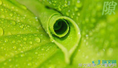 最全的《病隙碎笔》好段摘抄