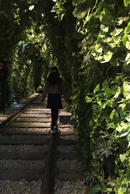 我只是在自言自语罢了