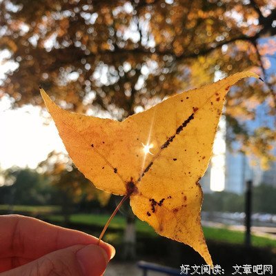 《时光未央》的句子