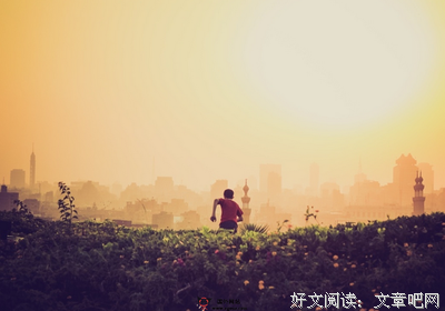 句子的集合