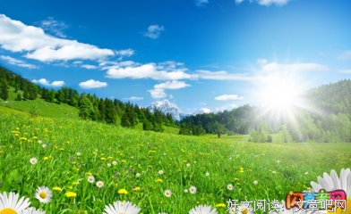 许小草多心句子