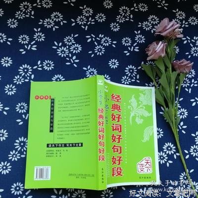 经典好词好句