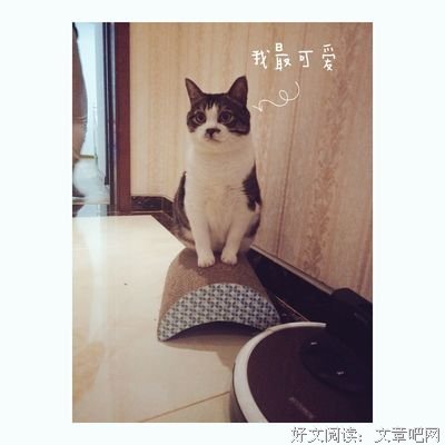 有关陆离流离的名言