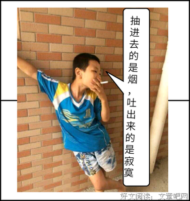 苑子文 苑子豪的名言名句